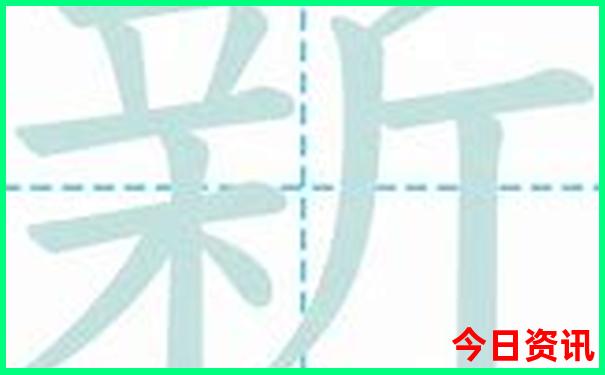 孙颖莎简介个人资料